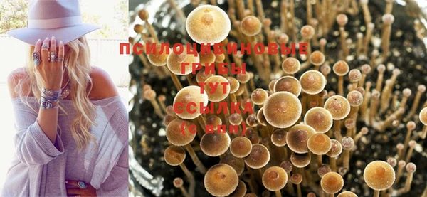 метамфетамин Арсеньев
